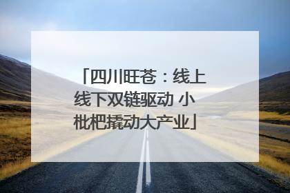 四川旺苍：线上线下双链驱动 小枇杷撬动大产业
