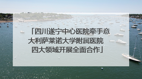 四川遂宁中心医院牵手意大利萨莱诺大学附属医院 四大领域开展全面合作