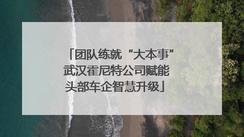 团队练就“大本事” 武汉霍尼特公司赋能头部车企智慧升级