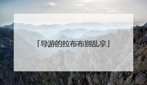 导游的拉布布别乱拿