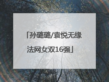 孙璐璐/袁悦无缘法网女双16强