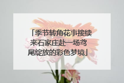 季节转角花事接续 来石家庄赴一场鸢尾绽放的彩色梦境