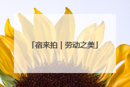 宿来拍｜劳动之美