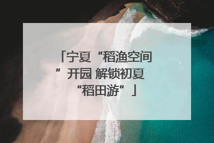 宁夏“稻渔空间”开园 解锁初夏“稻田游”