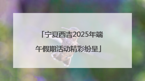 宁夏西吉2025年端午假期活动精彩纷呈