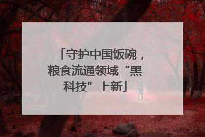 守护中国饭碗，粮食流通领域“黑科技”上新