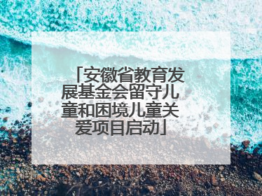 安徽省教育发展基金会留守儿童和困境儿童关爱项目启动