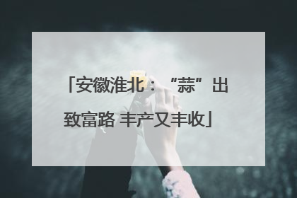 安徽淮北：“蒜”出致富路 丰产又丰收