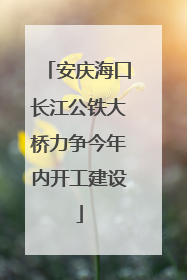 安庆海口长江公铁大桥力争今年内开工建设