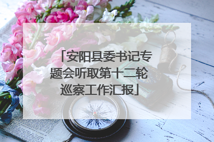 安阳县委书记专题会听取第十二轮巡察工作汇报