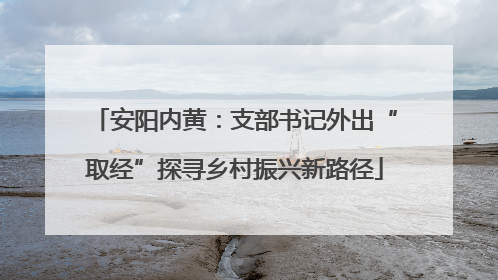 安阳内黄：支部书记外出“取经”探寻乡村振兴新路径