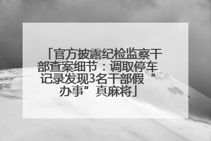 官方披露纪检监察干部查案细节：调取停车记录发现3名干部假“办事”真麻将