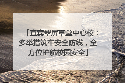 宜宾翠屏草堂中心校：多举措筑牢安全防线，全方位护航校园安全