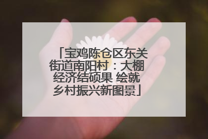 宝鸡陈仓区东关街道南阳村：大棚经济结硕果 绘就乡村振兴新图景