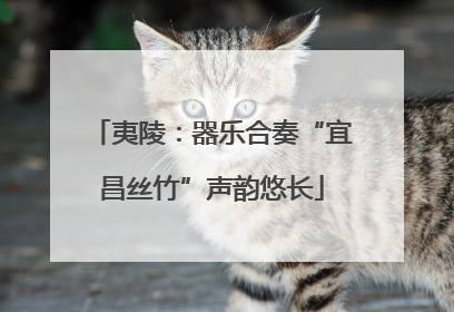 夷陵：器乐合奏“宜昌丝竹”声韵悠长