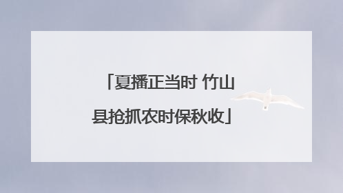 夏播正当时 竹山县抢抓农时保秋收