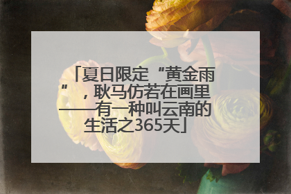 夏日限定“黄金雨”，耿马仿若在画里——有一种叫云南的生活之365天