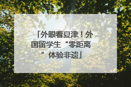 外眼看夏津！外国留学生“零距离”体验非遗