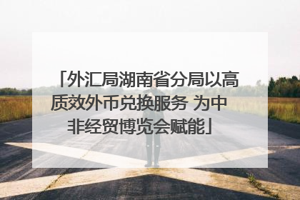 外汇局湖南省分局以高质效外币兑换服务 为中非经贸博览会赋能