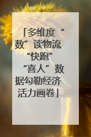 多维度“数”读物流“快跑” “喜人”数据勾勒经济活力画卷