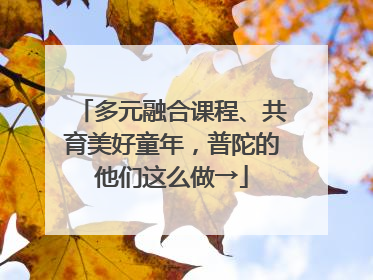 多元融合课程、共育美好童年，普陀的他们这么做→