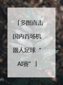 多图直击国内首场机器人足球“AI赛”