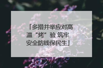多措并举应对高温“烤”验 筑牢安全防线保民生