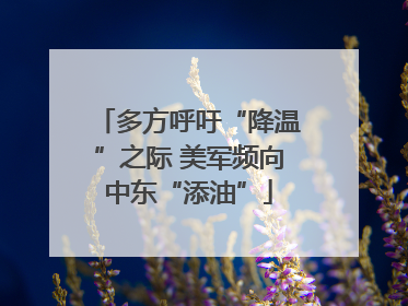 多方呼吁“降温”之际 美军频向中东“添油”