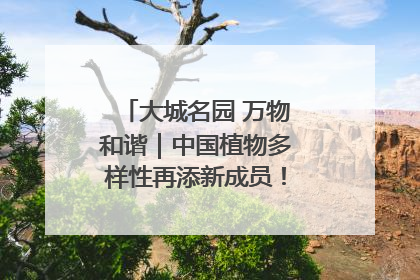 大城名园 万物和谐｜中国植物多样性再添新成员！它只在西藏墨脱