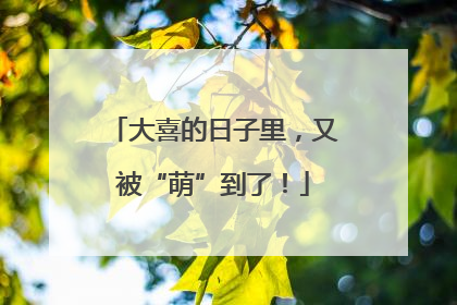 大喜的日子里，又被“萌”到了！
