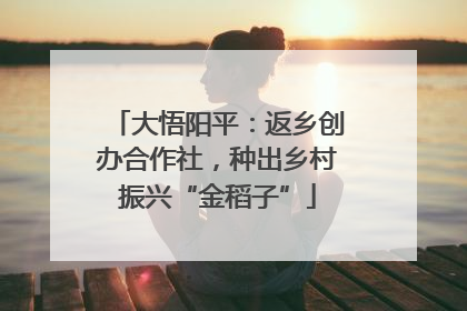 大悟阳平：返乡创办合作社，种出乡村振兴“金稻子”