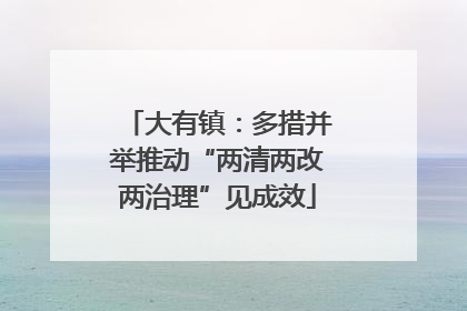 大有镇：多措并举推动“两清两改两治理”见成效