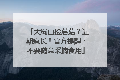 大蜀山捡蘑菇？近期疯长！官方提醒：不要随意采摘食用