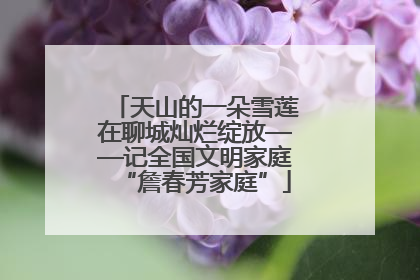 天山的一朵雪莲在聊城灿烂绽放——记全国文明家庭“詹春芳家庭”