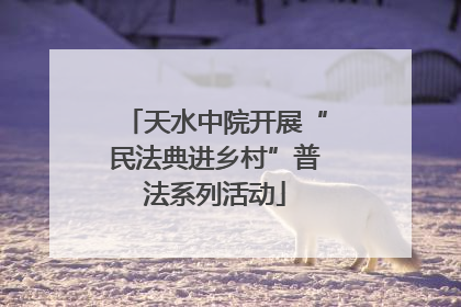 天水中院开展“民法典进乡村”普法系列活动