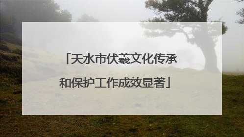 天水市伏羲文化传承和保护工作成效显著