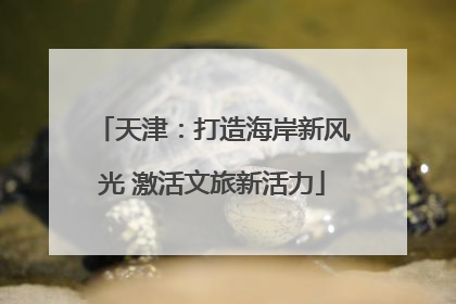 天津：打造海岸新风光 激活文旅新活力