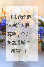 太仓浮桥镇整治人居环境，全力扮靓港城“颜值”