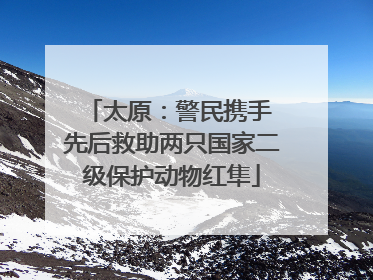太原：警民携手 先后救助两只国家二级保护动物红隼