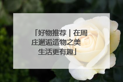 好物推荐｜在周庄邂逅造物之美 生活更有趣