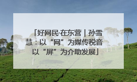 好网民·在东营｜孙雪慧：以“网”为媒传税音 以“屏”为介助发展