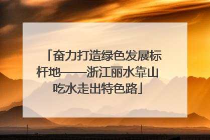 奋力打造绿色发展标杆地——浙江丽水靠山吃水走出特色路