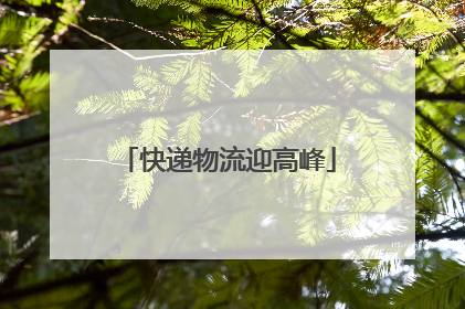 快递物流迎高峰
