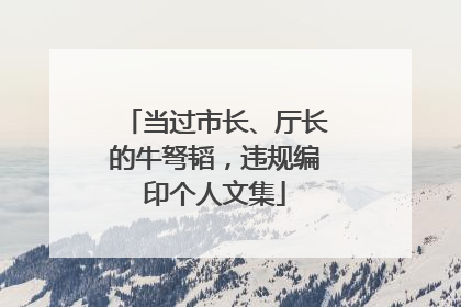 当过市长、厅长的牛弩韬，违规编印个人文集