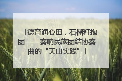 德育润心田，石榴籽抱团——奏响民族团结协奏曲的“天山实践”