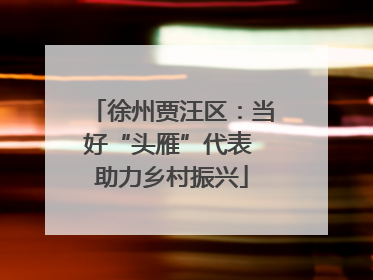 徐州贾汪区：当好“头雁”代表 助力乡村振兴