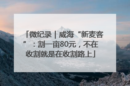 微纪录｜威海“新麦客”：割一亩80元，不在收割就是在收割路上