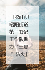 微山县昭阳街道第一书记工作队助力“三夏”防火