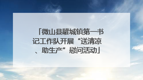 微山县驩城镇第一书记工作队开展“送清凉、助生产”慰问活动