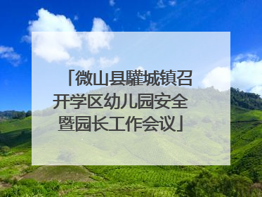 微山县驩城镇召开学区幼儿园安全暨园长工作会议